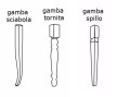 ZRL GAMBE5